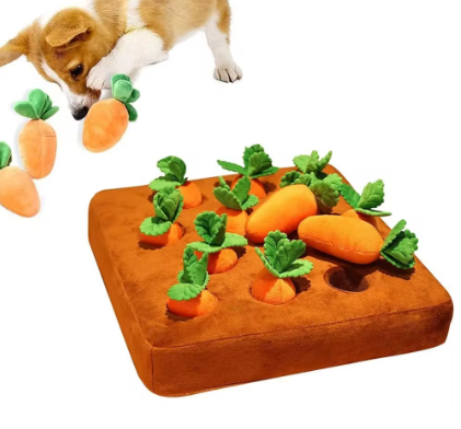 Carrot Toy