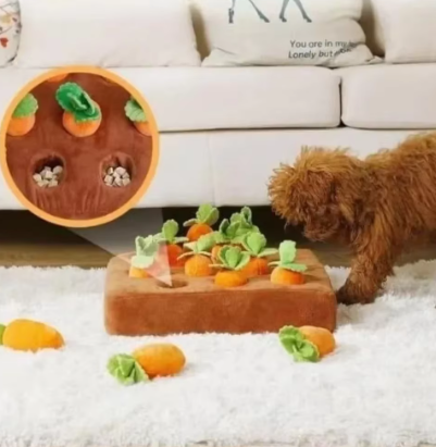 Carrot Toy